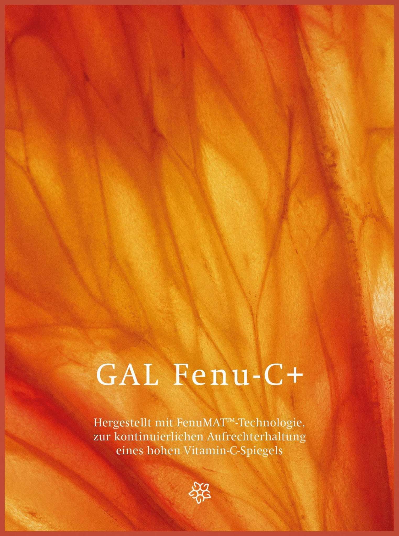 Orangene Textur mit der Aufschrift "GAL Fenu-C+", Vitamin-C-Produktwerbung.