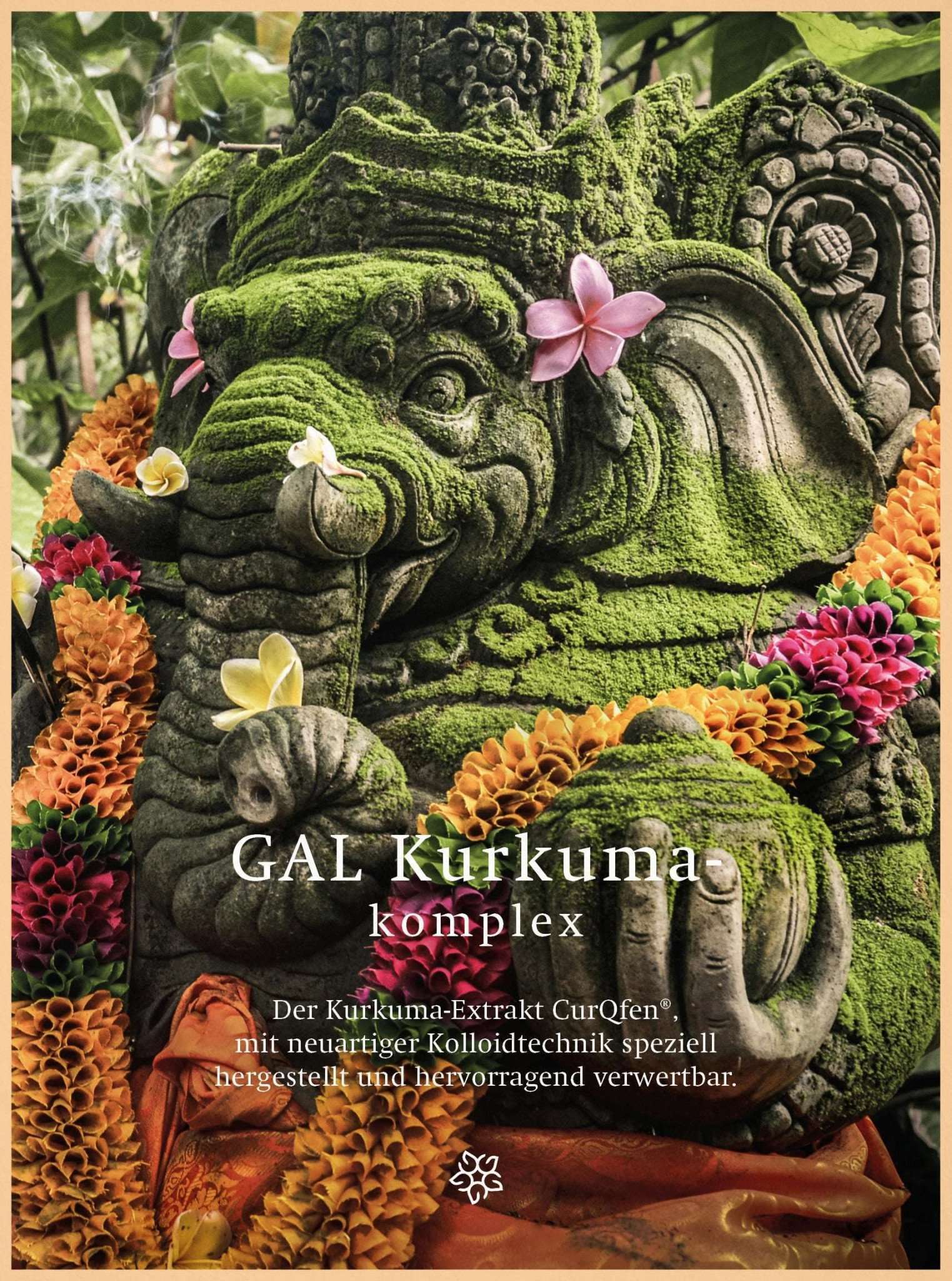 Statue eines Moos-bedeckten Elefantengottes mit Blumenketten und Produktbezeichnung "GAL Kurkuma-komplex".
