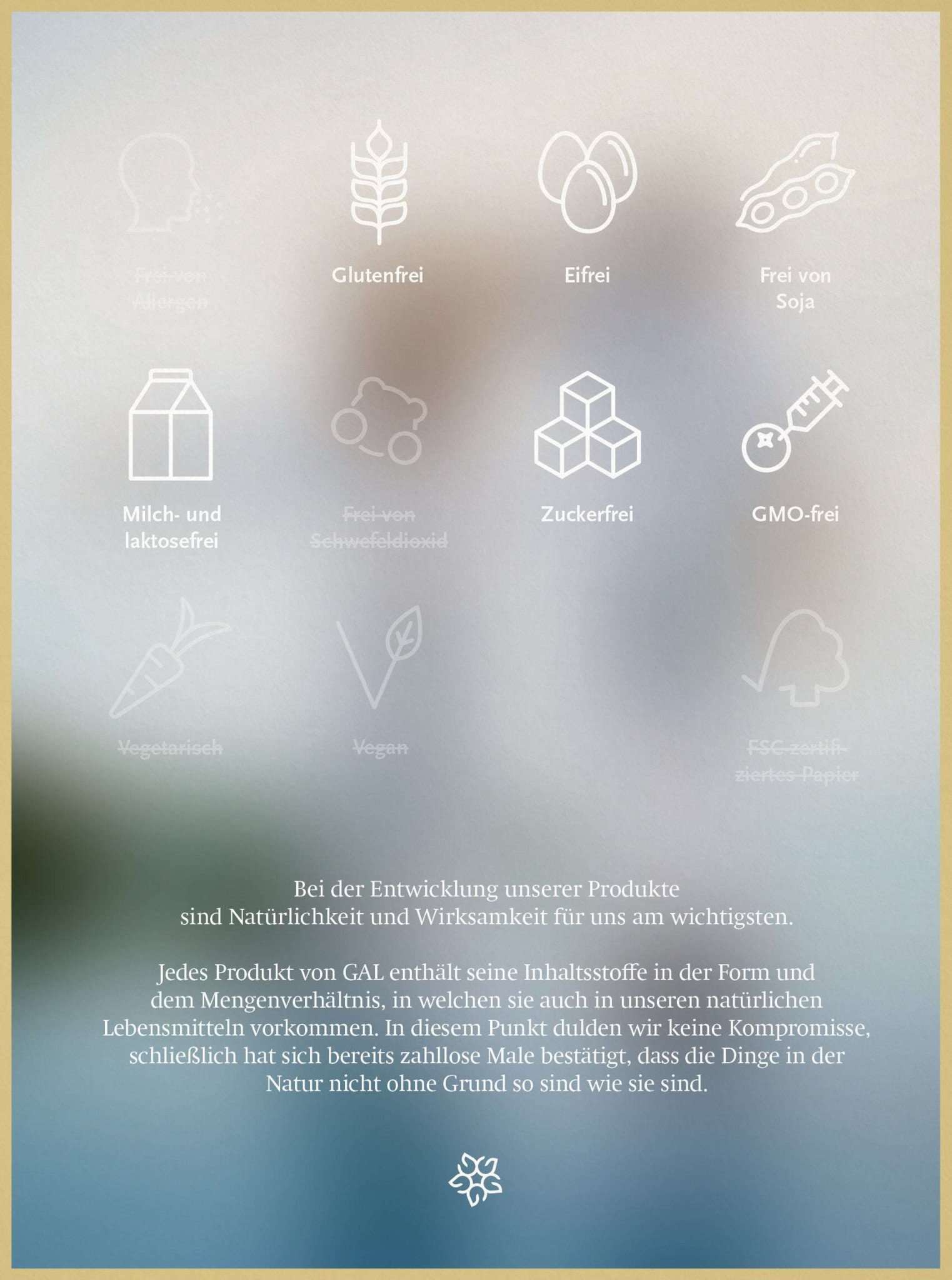 Symbole für glutenfrei, eifrei, sojafrei, laktosefrei, zuckerfrei, GMO-frei, vegetarisch, kompostierbar und recyceltes Papier.