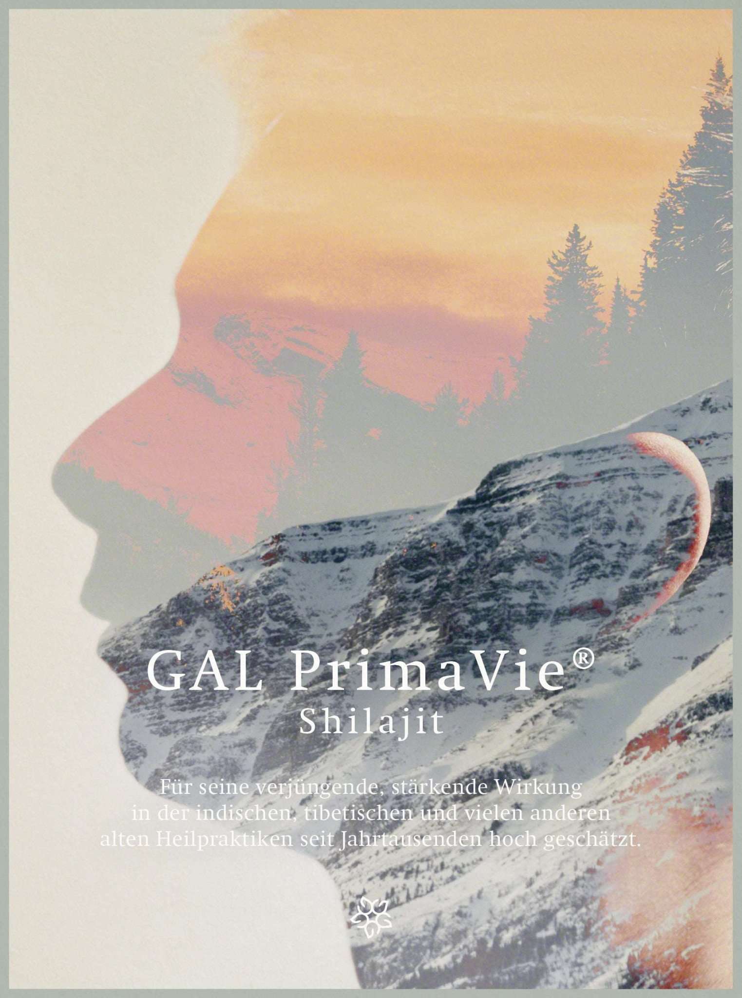 Silhouette eines Menschen mit Berglandschaft und Bäumen im Hintergrund, Text "GAL PrimaVie® Shilajit" sichtbar.