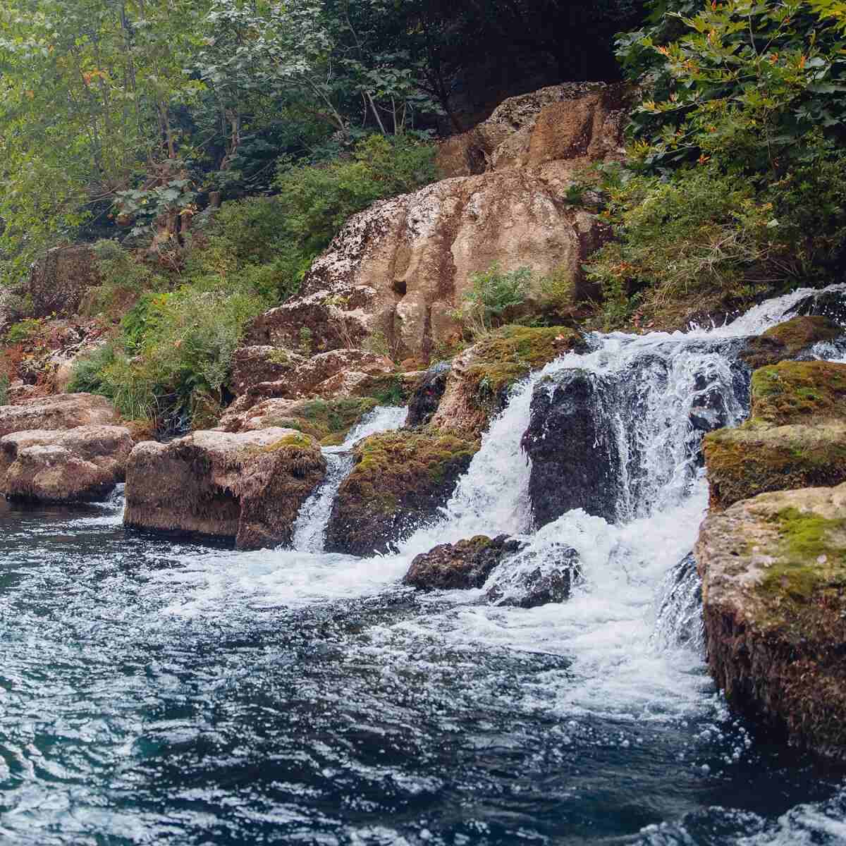 Ein kleiner Wasserfall fließt über moosbedeckte Felsen in einen klaren Fluss, umgeben von dichtem grünen Laub und Bäumen.