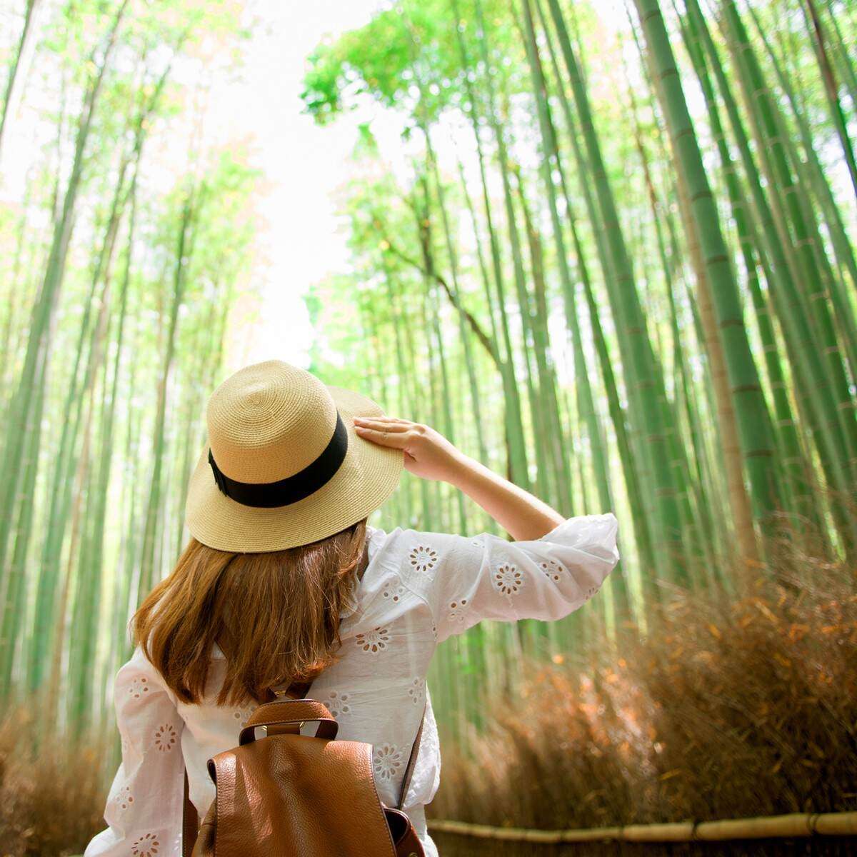 Eine Person mit braunem Haar, Strohhut und braunem Rucksack steht in einem dichten, sonnendurchfluteten Bambuswald.