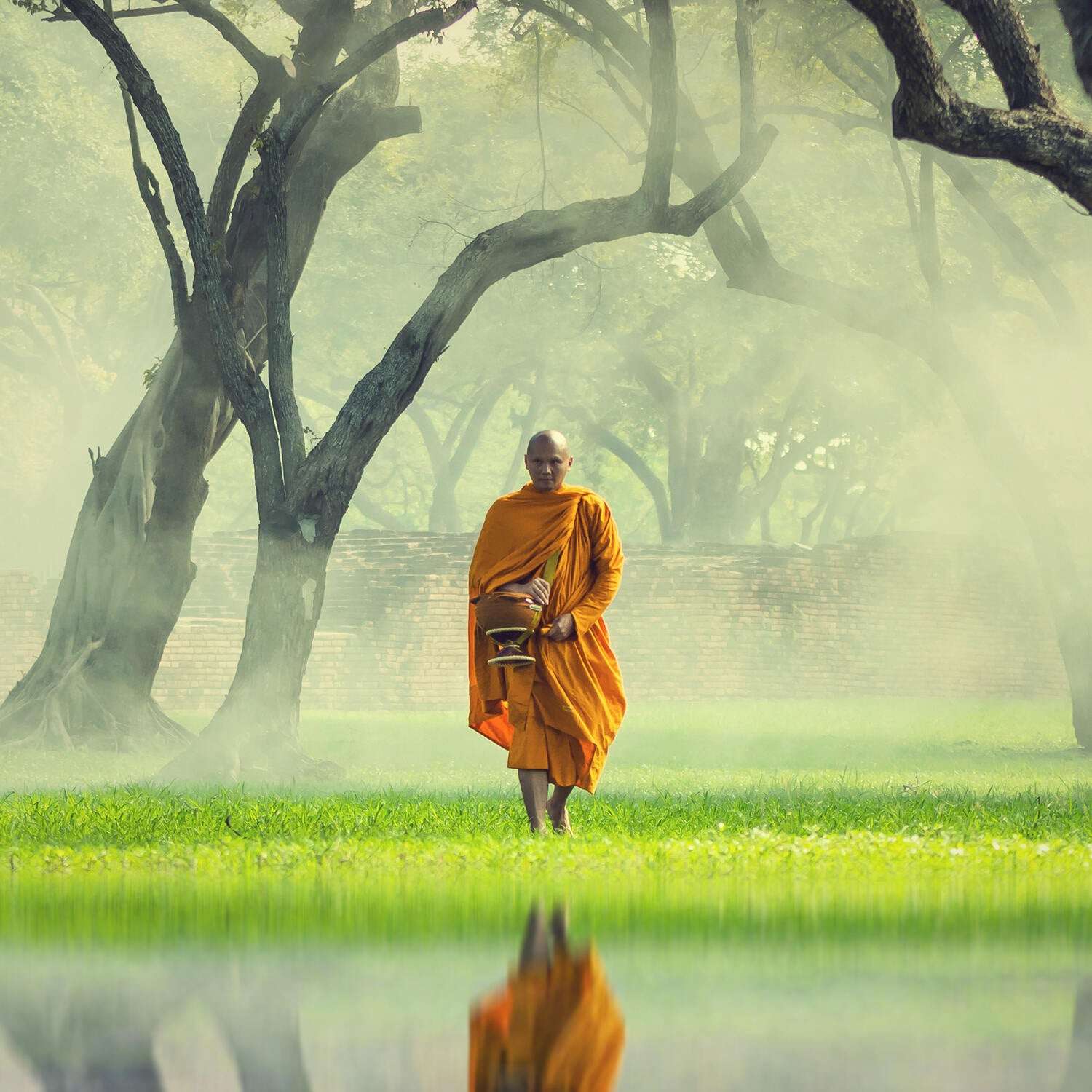 Ein Mönch in orangefarbener Robe läuft barfuß durch grünes Gras, Bäume und Nebel im Hintergrund, Wasser im Vordergrund.