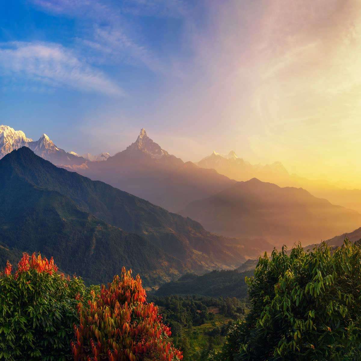 Traditionelles Verjüngungsmittel – Shilajit | GAL Vitamin