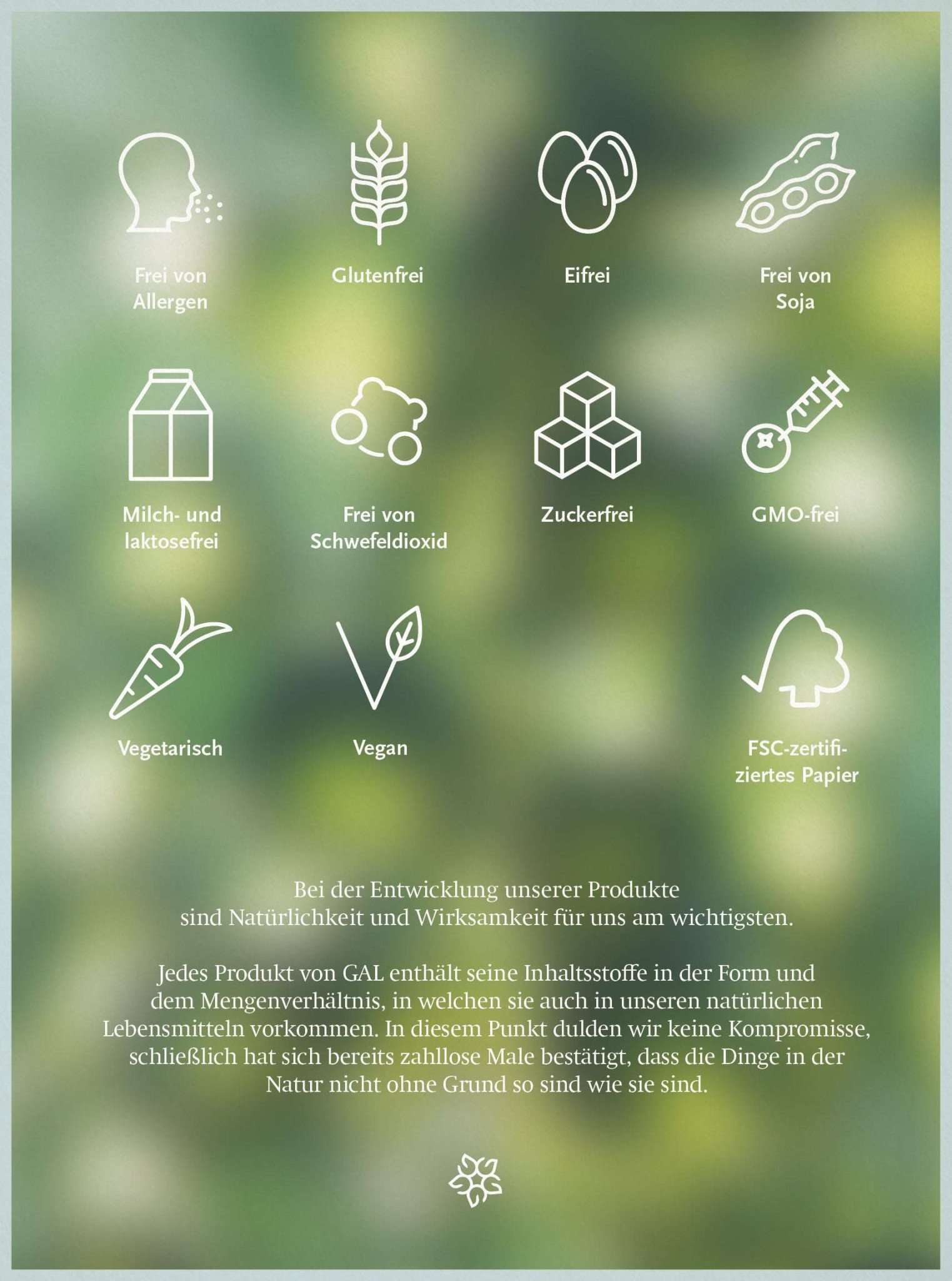 Icons für allergenfrei, glutenfrei, eifrei, sojafrei, laktosefrei, schwefelfrei, zuckerfrei, GMO-frei, vegetarisch, vegan, FSC-Papier.
