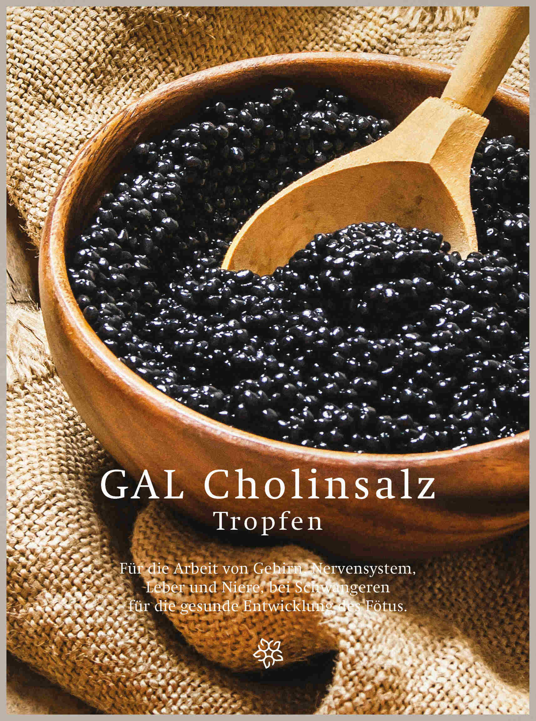 GAL Cholinsalz Tropfen - 100 ml
