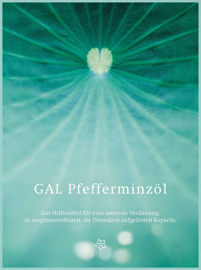 Grünes, künstlerisches Bild mit Blattform und Text: "GAL Pfefferminzöl, Hilfsmittel für normale Verdauung in Kapseln".