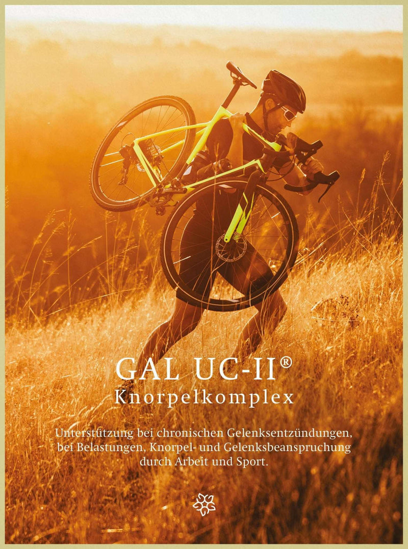 Ein Radfahrer trägt ein Fahrrad durch eine sonnige Wiese. Text zum GAL UC-II® Knorpelkomplex ist sichtbar.
