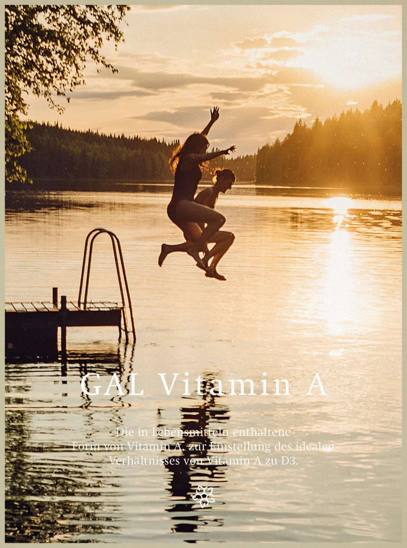 Zwei Personen springen in einen See bei Sonnenuntergang, neben einem Steg. Text mit "GAL Vitamin A" sichtbar.